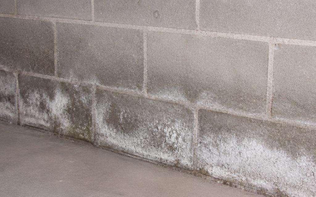 Close-up of a basement concrete block wall with chalky white efflorescence and damp patches